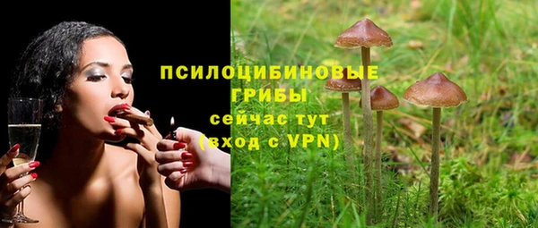крисы Алексеевка