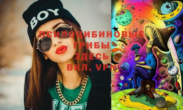 крисы Алексеевка