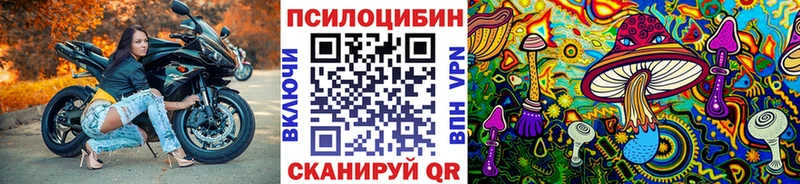 гидра ссылка  Кашин  Галлюциногенные грибы мухоморы  купить наркотик 
